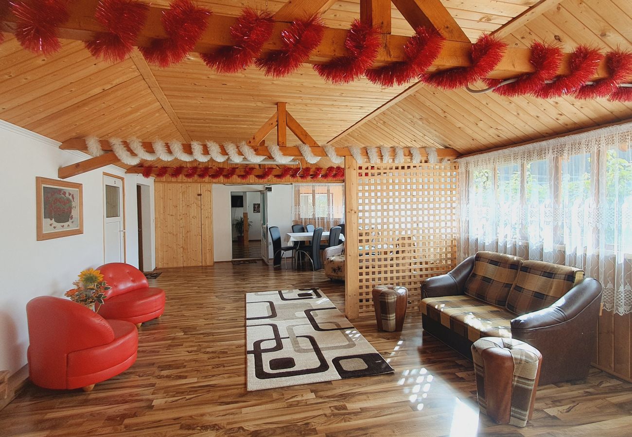 Studio in Broșteni - Casa Rusu Studio 2
