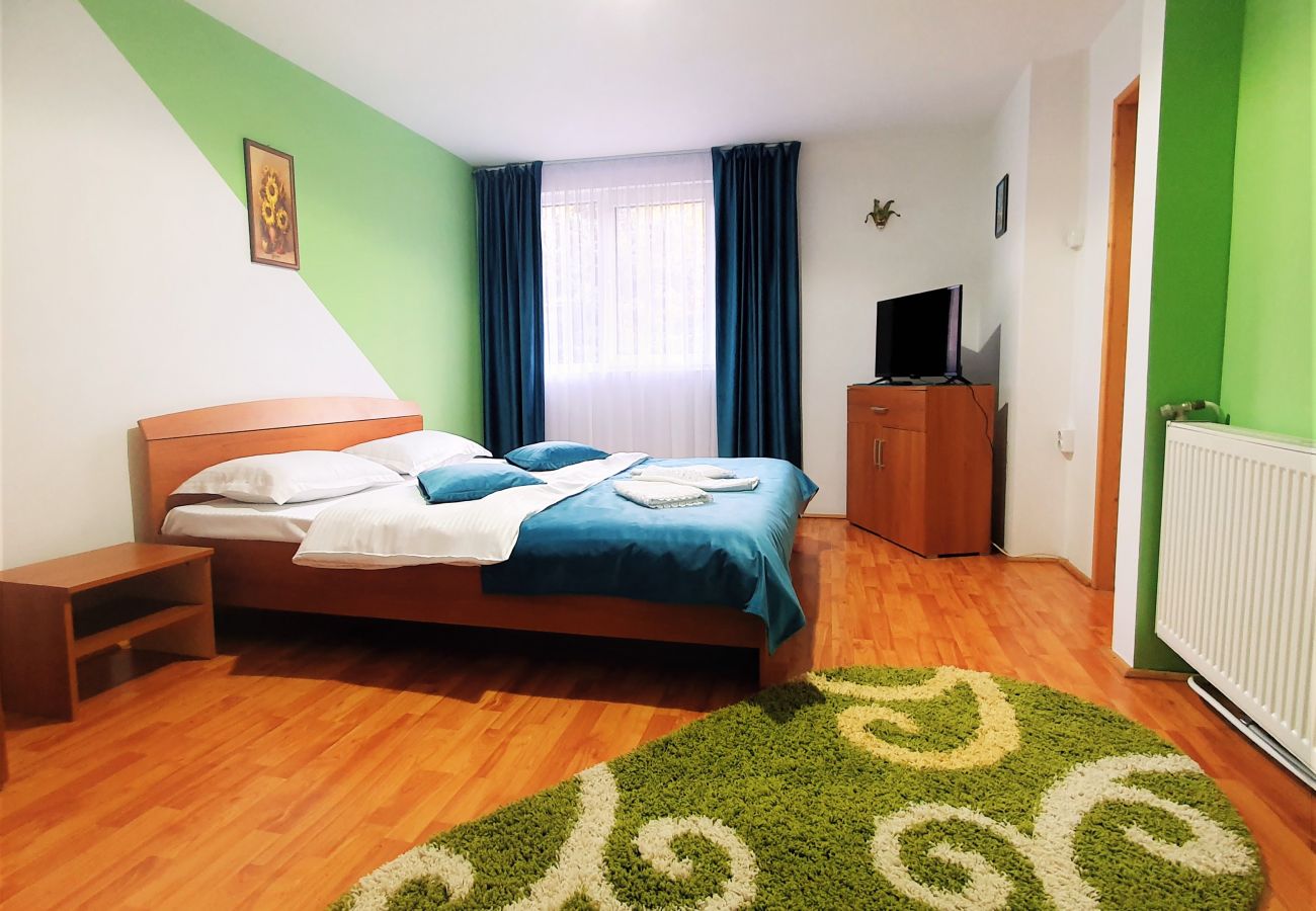 Studio in Broșteni - Casa Rusu Studio 2
