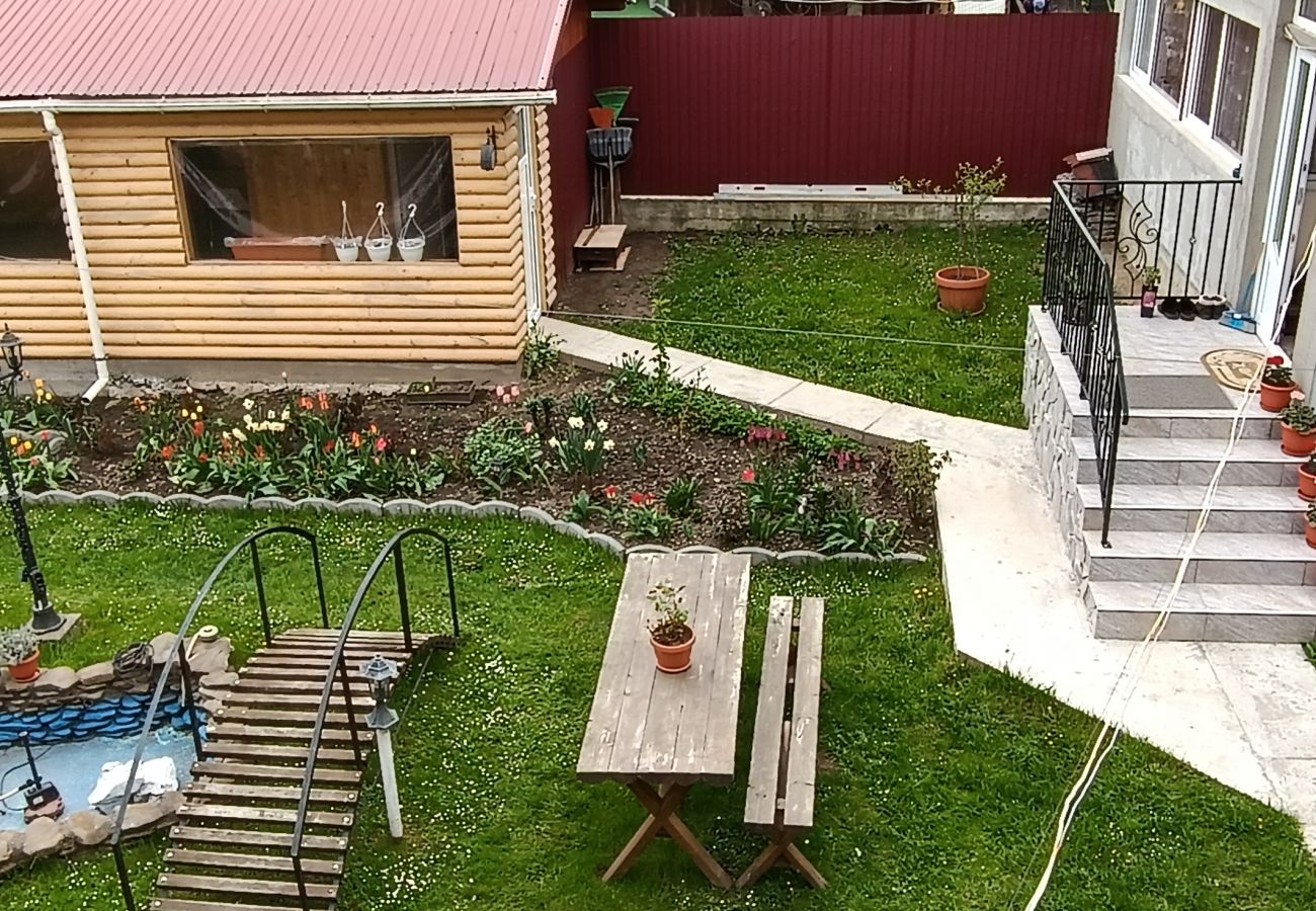 Studio in Broșteni - Casa Rusu Studio 4