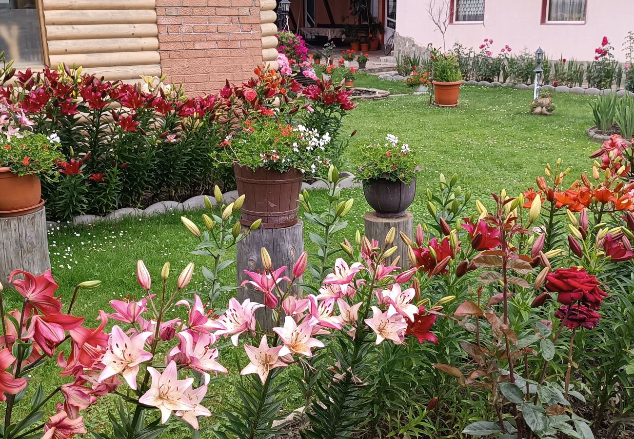 Studio in Broșteni - Casa Rusu Studio 4