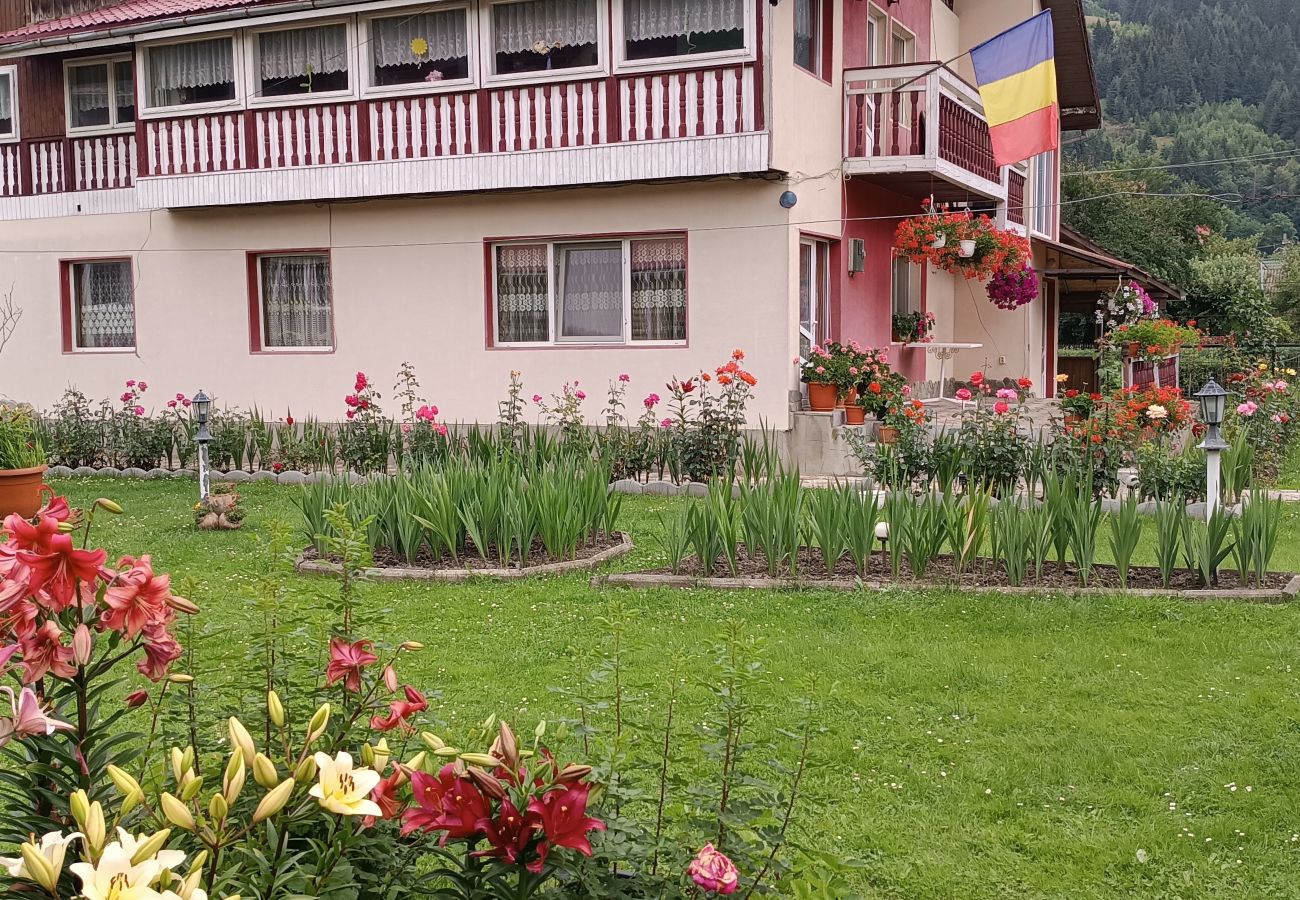 Studio in Broșteni - Casa Rusu Studio 4