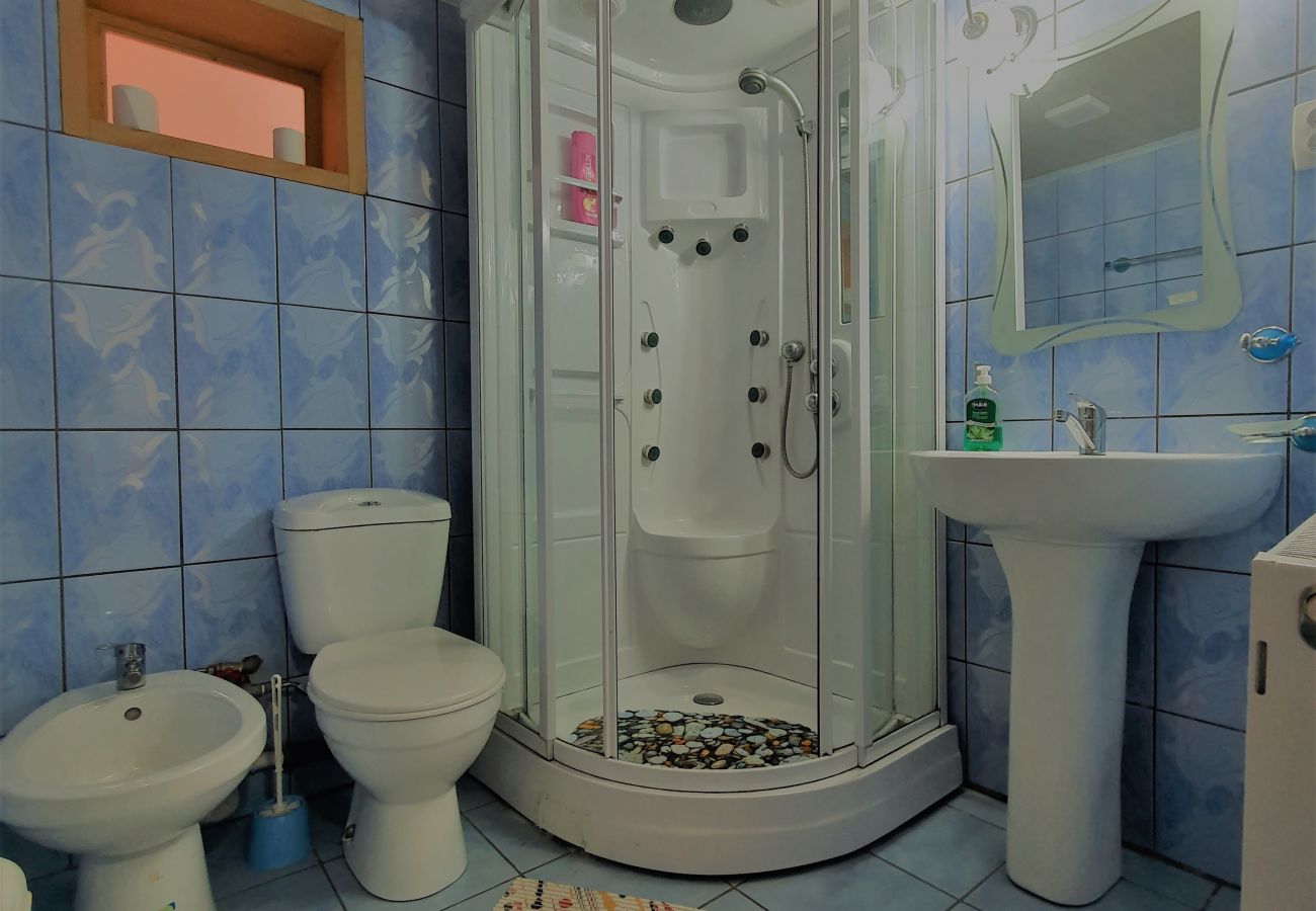 Studio in Broșteni - Casa Rusu Studio 4
