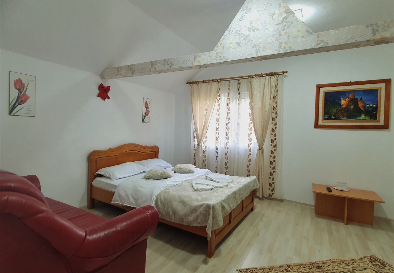 Studio in Broșteni - Casa Rusu Studio 4