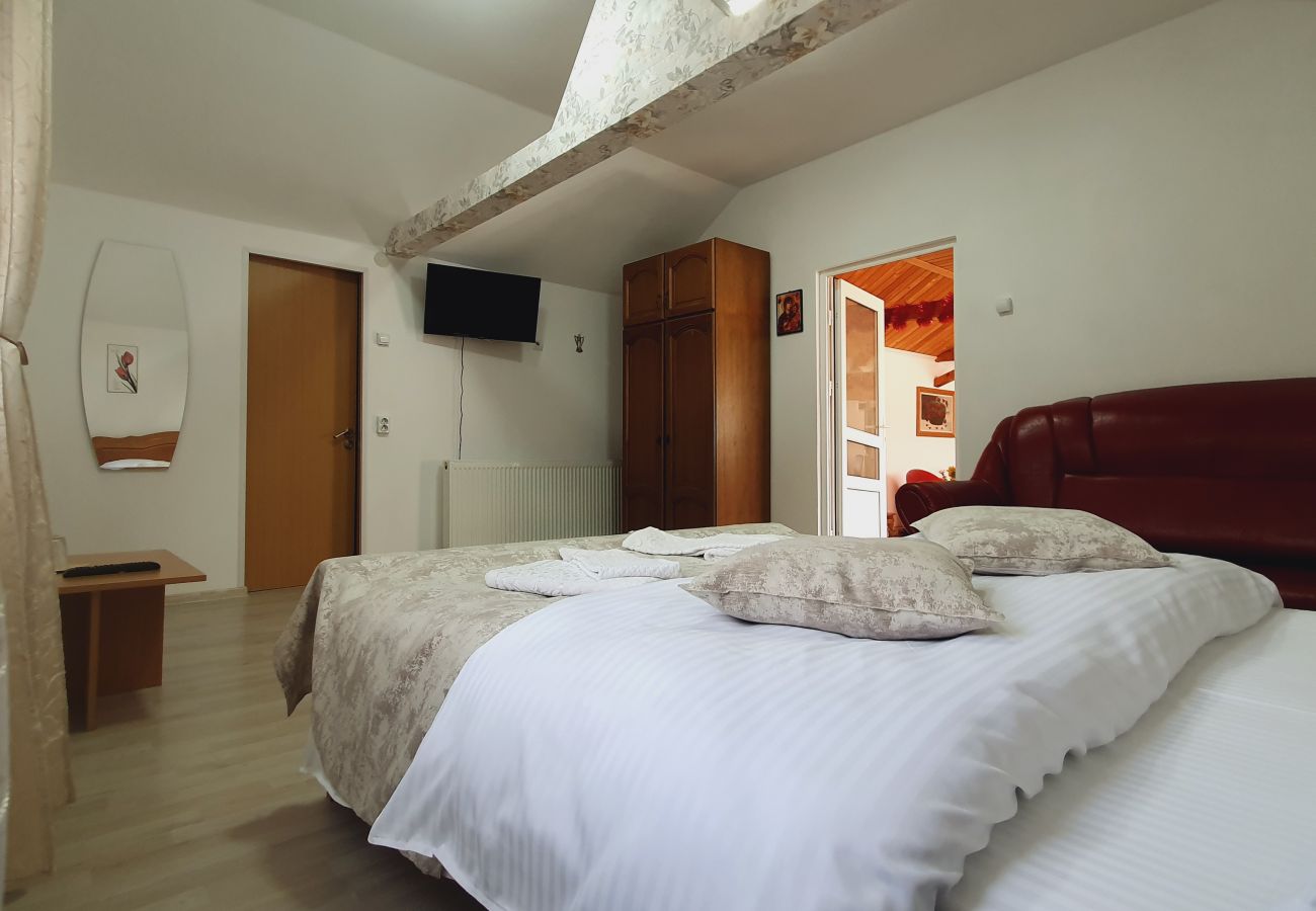 Studio in Broșteni - Casa Rusu Studio 4