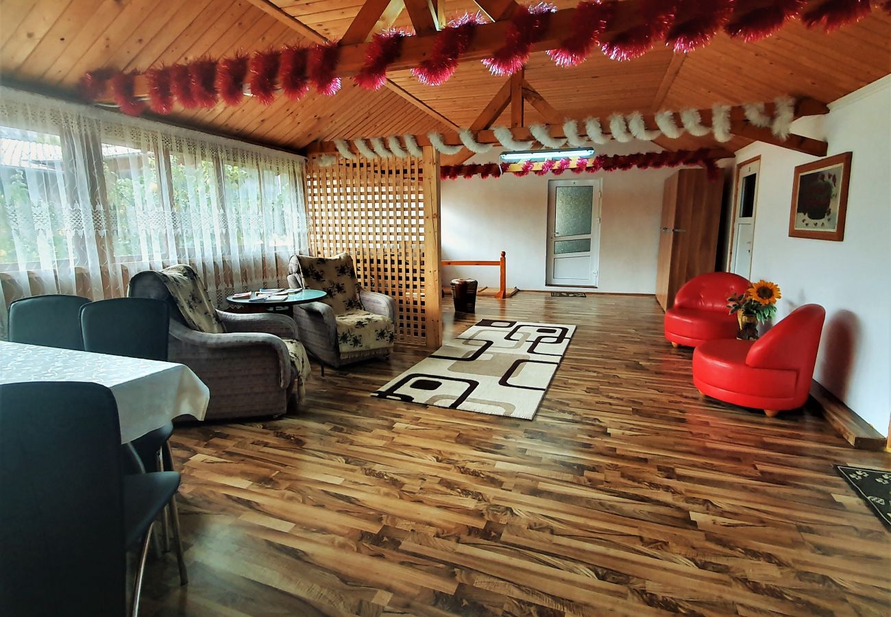 Studio in Broșteni - Casa Rusu Studio 4