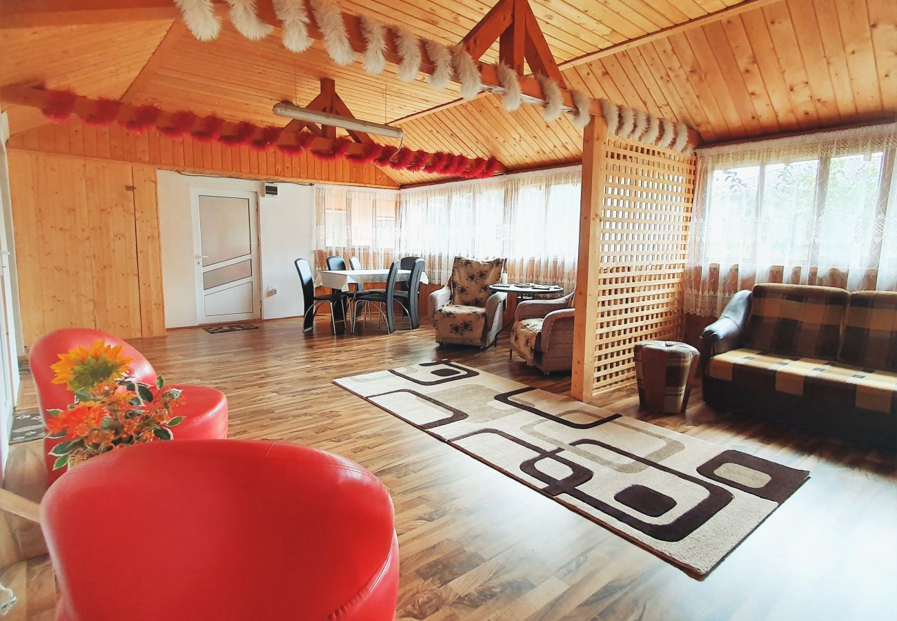 Studio in Broșteni - Casa Rusu Studio 4