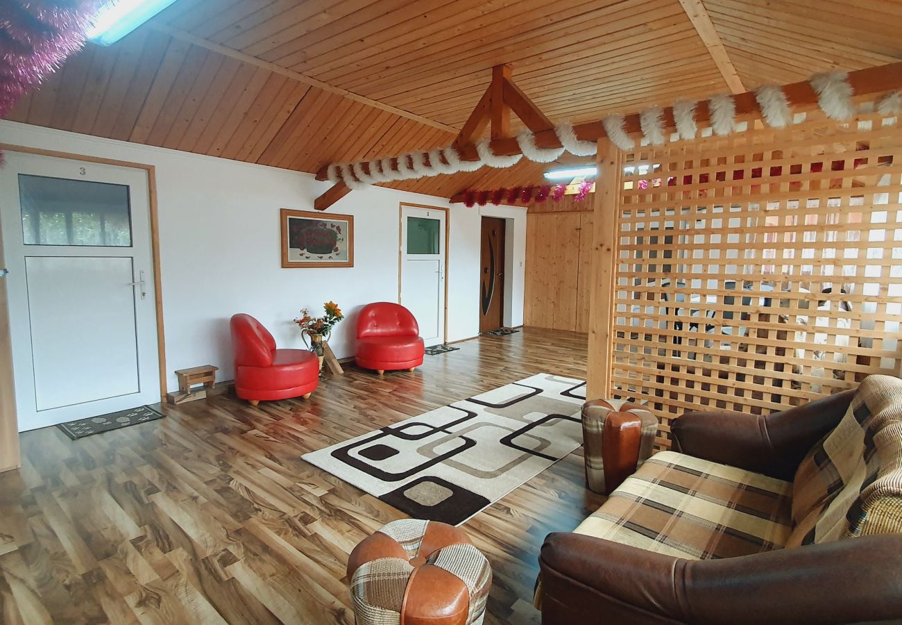 Studio in Broșteni - Casa Rusu Studio 4