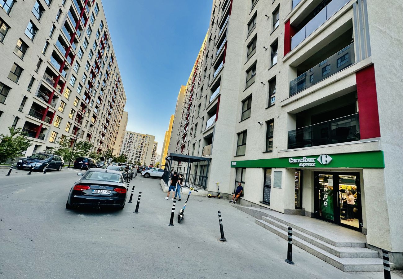 Apartment in Bucharest - Violina