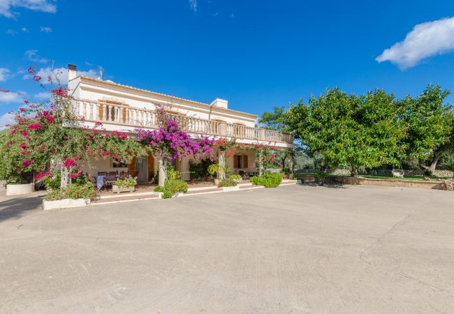 Villa in Ariany - YourHouse Sa Garrriga Finca Darder Villa in Ariany - YourHouse Sa Garrriga Finca Darder