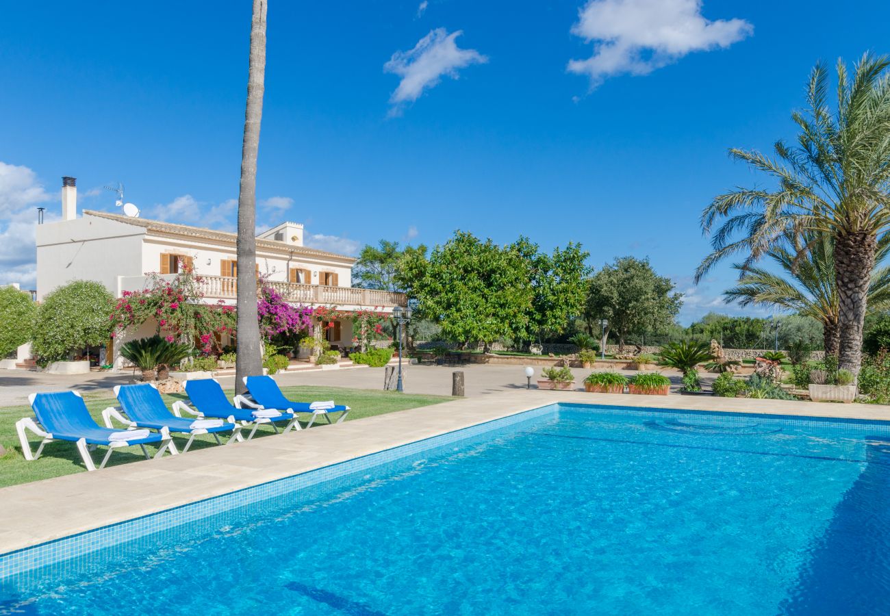 Villa in Ariany - YourHouse Sa Garrriga Finca Darder