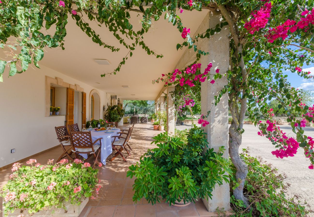 Villa in Ariany - YourHouse Sa Garrriga Finca Darder