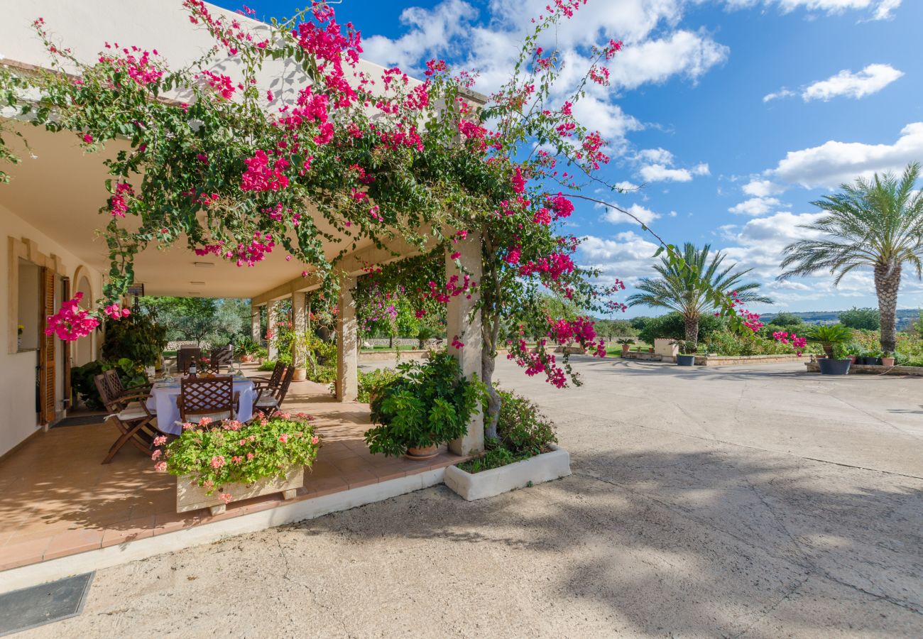 Villa in Ariany - YourHouse Sa Garrriga Finca Darder