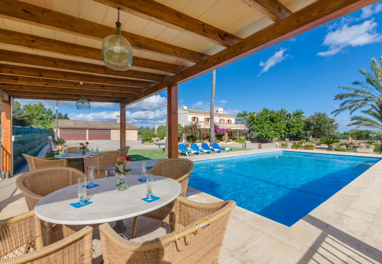 Villa in Ariany - YourHouse Sa Garrriga Finca Darder