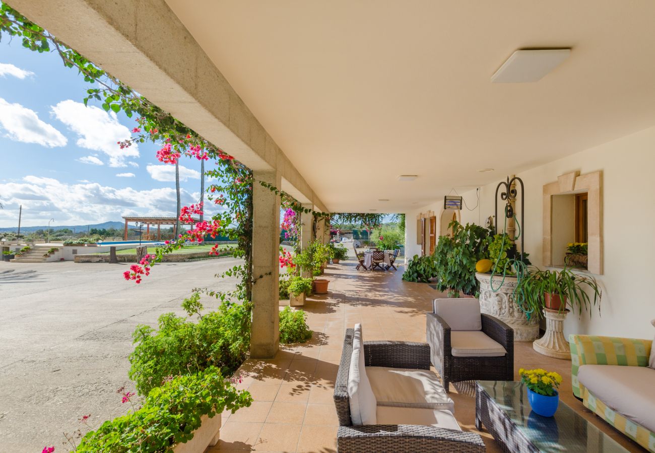 Villa in Ariany - YourHouse Sa Garrriga Finca Darder