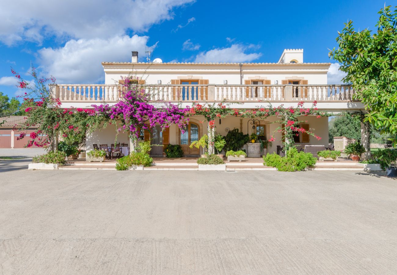 Villa in Ariany - YourHouse Sa Garrriga Finca Darder