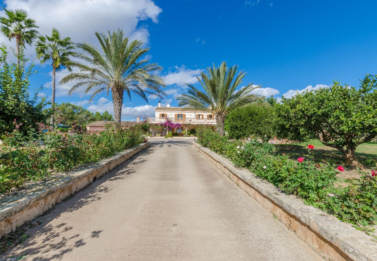 Villa in Ariany - YourHouse Sa Garrriga Finca Darder