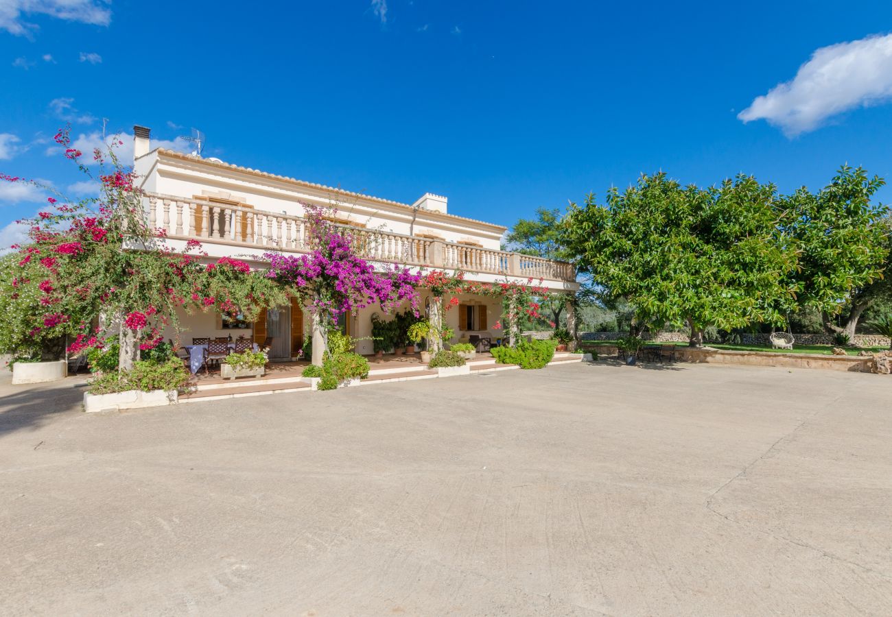 Villa in Ariany - YourHouse Sa Garrriga Finca Darder