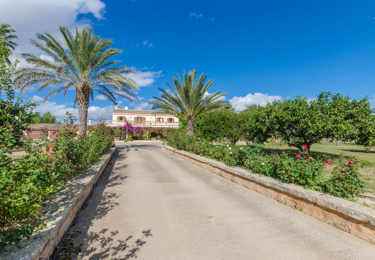 Villa in Ariany - YourHouse Sa Garrriga Finca Darder