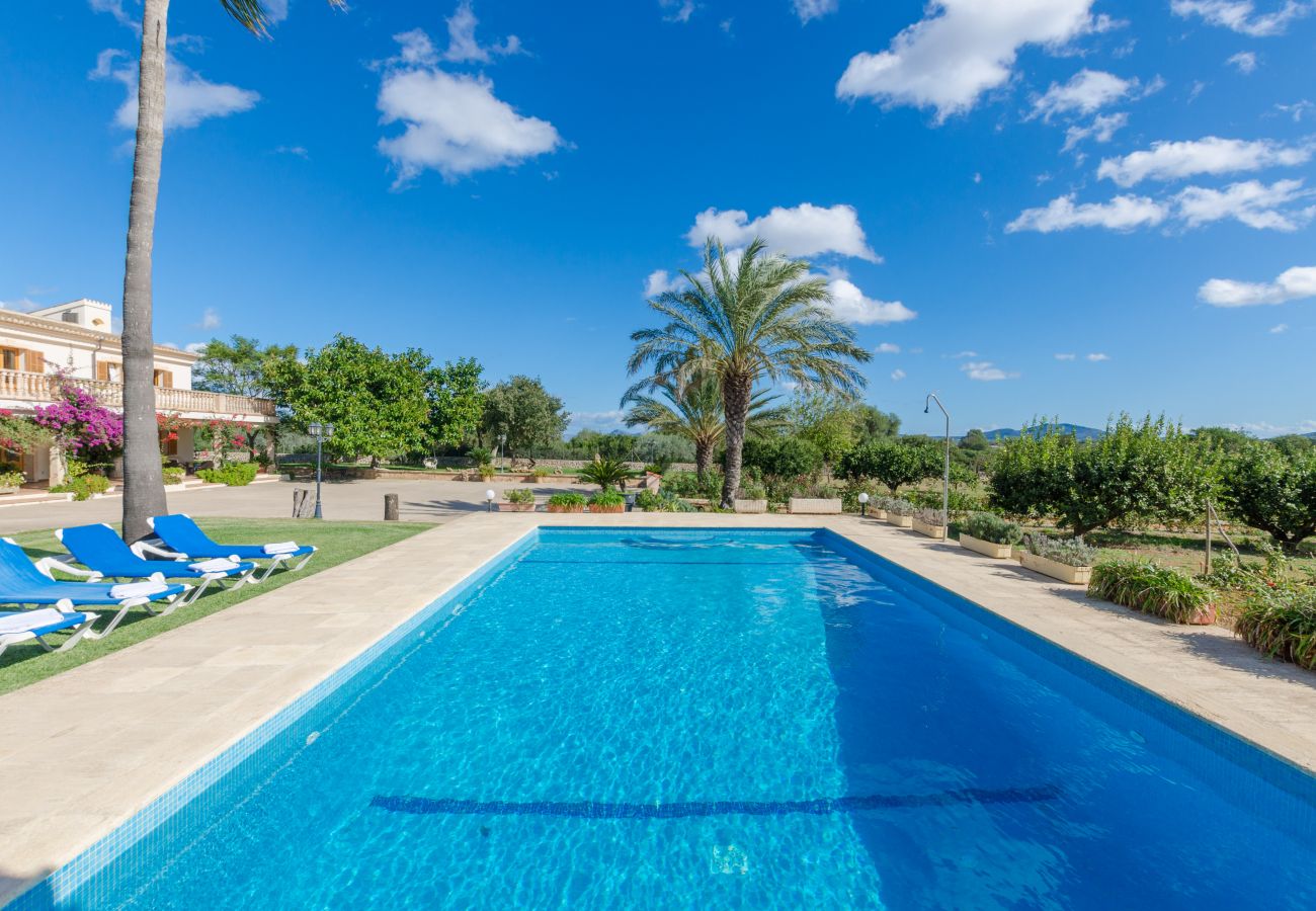 Villa in Ariany - YourHouse Sa Garrriga Finca Darder