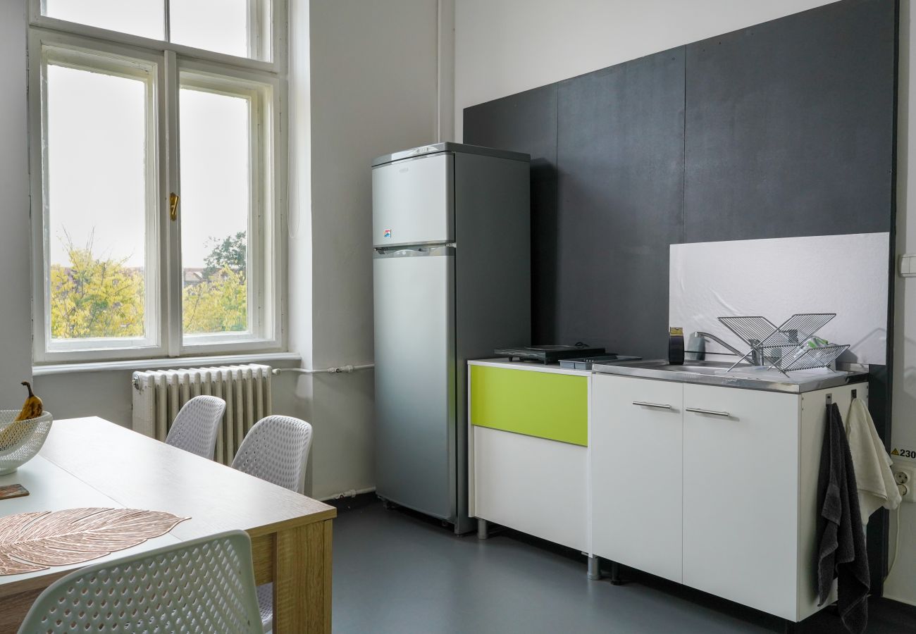 Apartment in Timisoara - 2BDR Marschall Palace