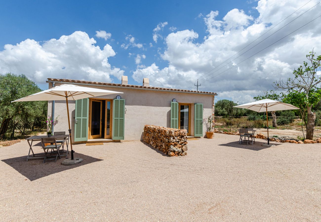 Farm stay in Costitx - YourHouse Cal Tio 3, peaceful apartment in a farmhouse