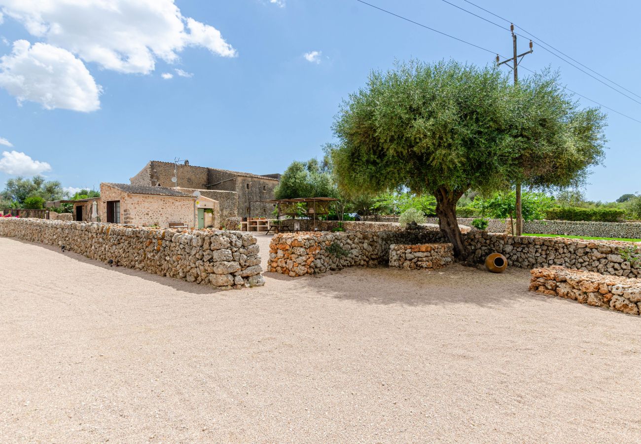 Farm stay in Costitx - YourHouse Cal Tio 3, peaceful apartment in a farmhouse