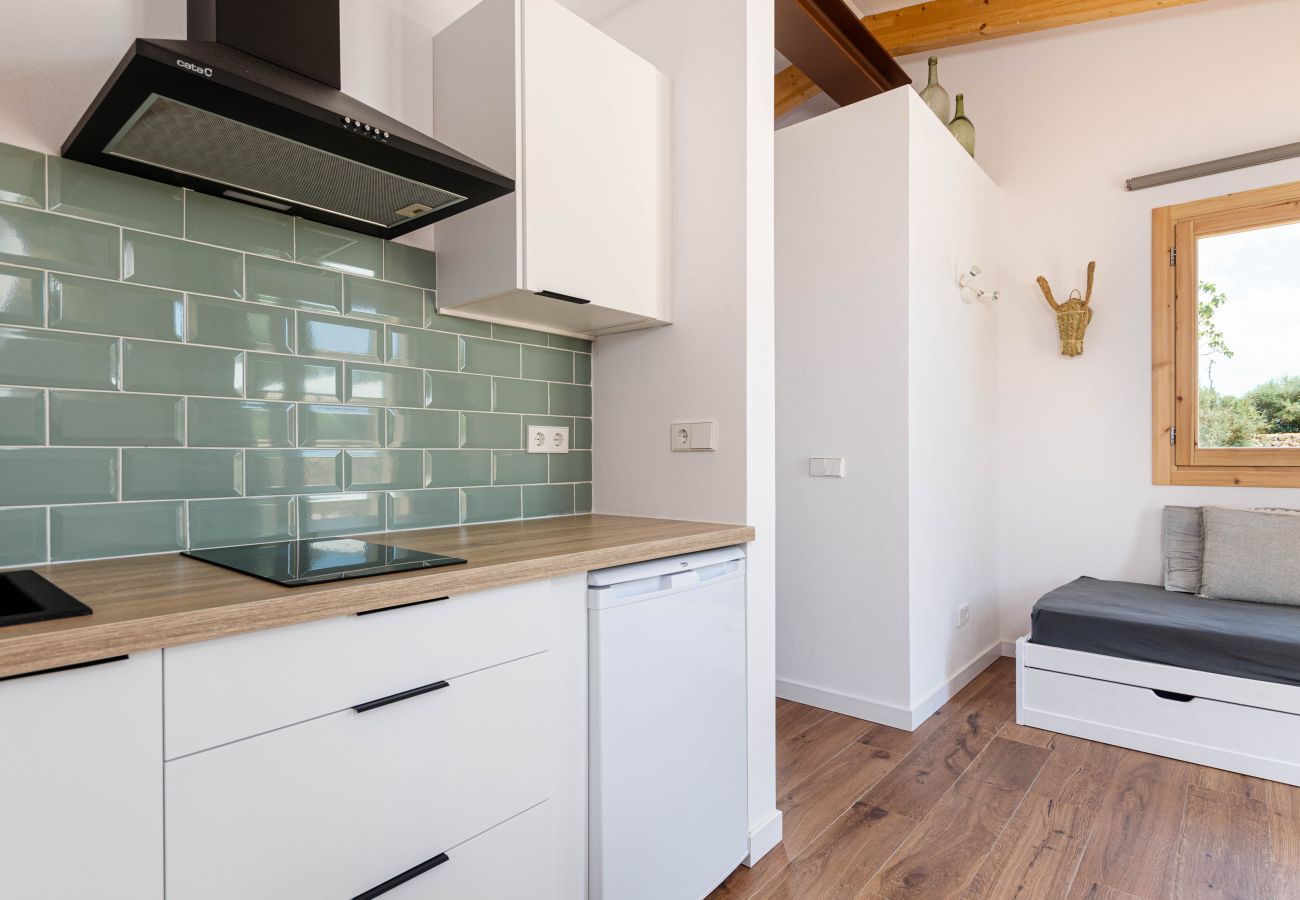 Farm stay in Costitx - YourHouse Cal Tio 3, peaceful apartment in a farmhouse