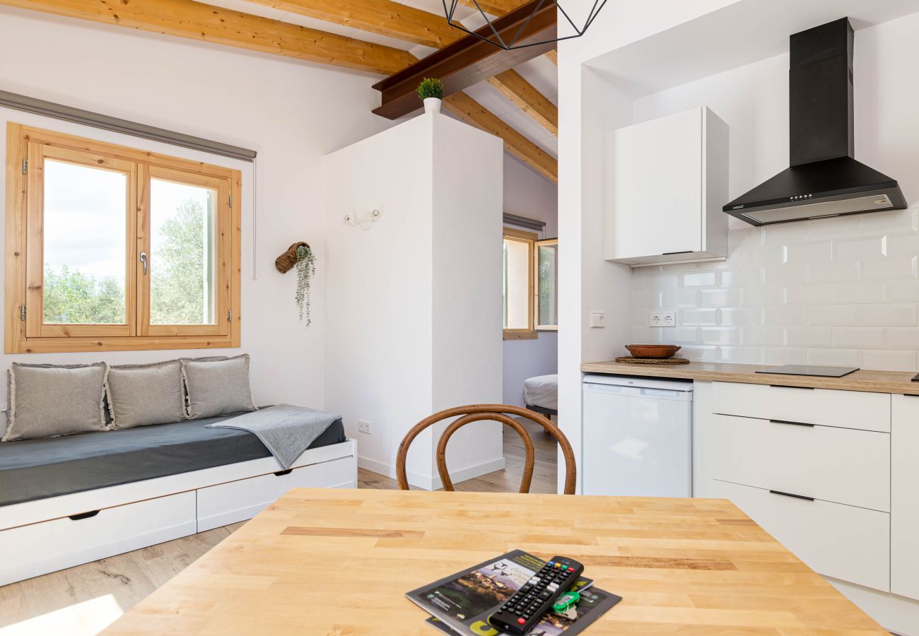 Farm stay in Costitx - Cal Tio 4 YourHouse, lovely apartment in a farmhouse with shared pool