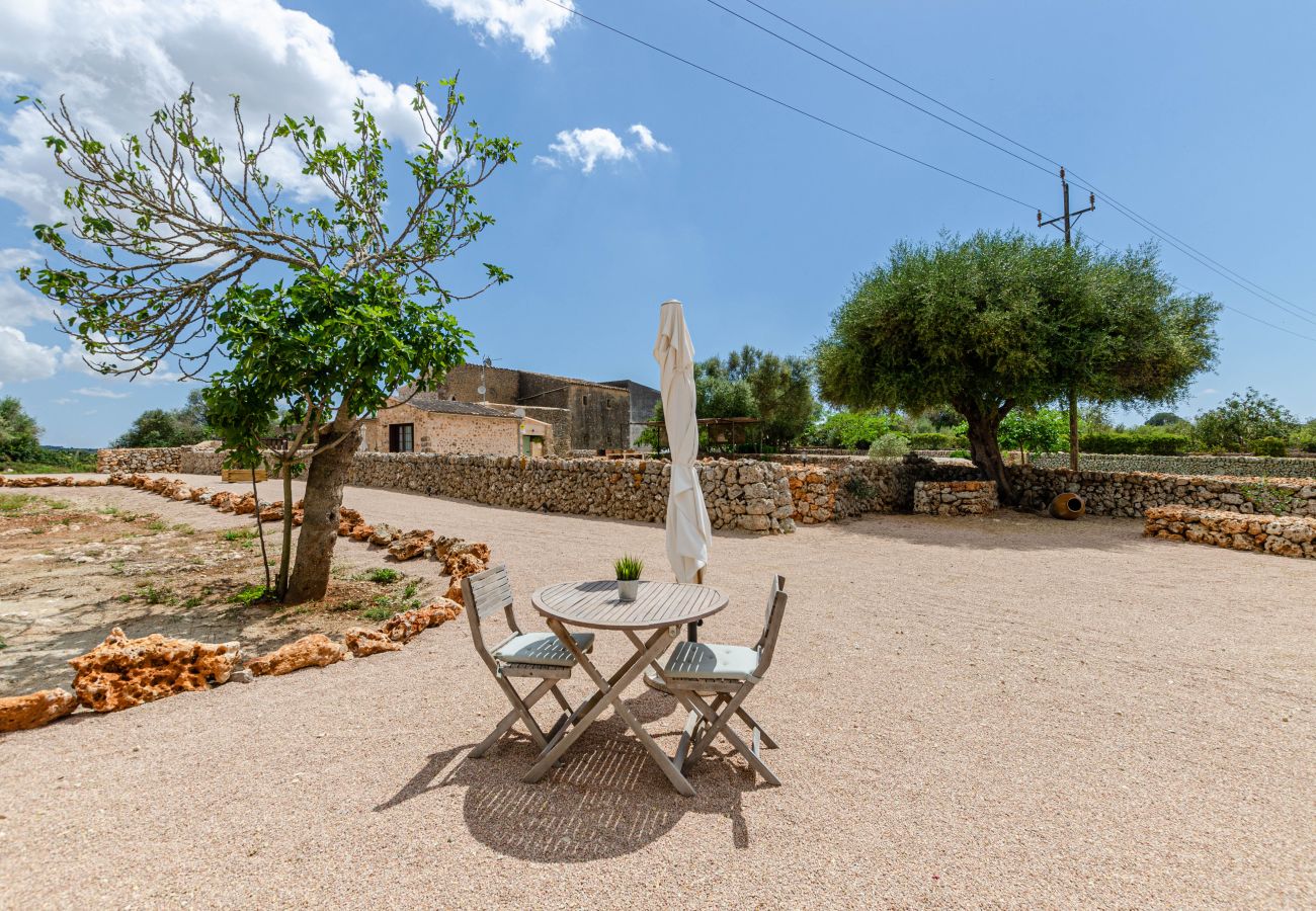 Farm stay in Costitx - Cal Tio 4 YourHouse, lovely apartment in a farmhouse with shared pool