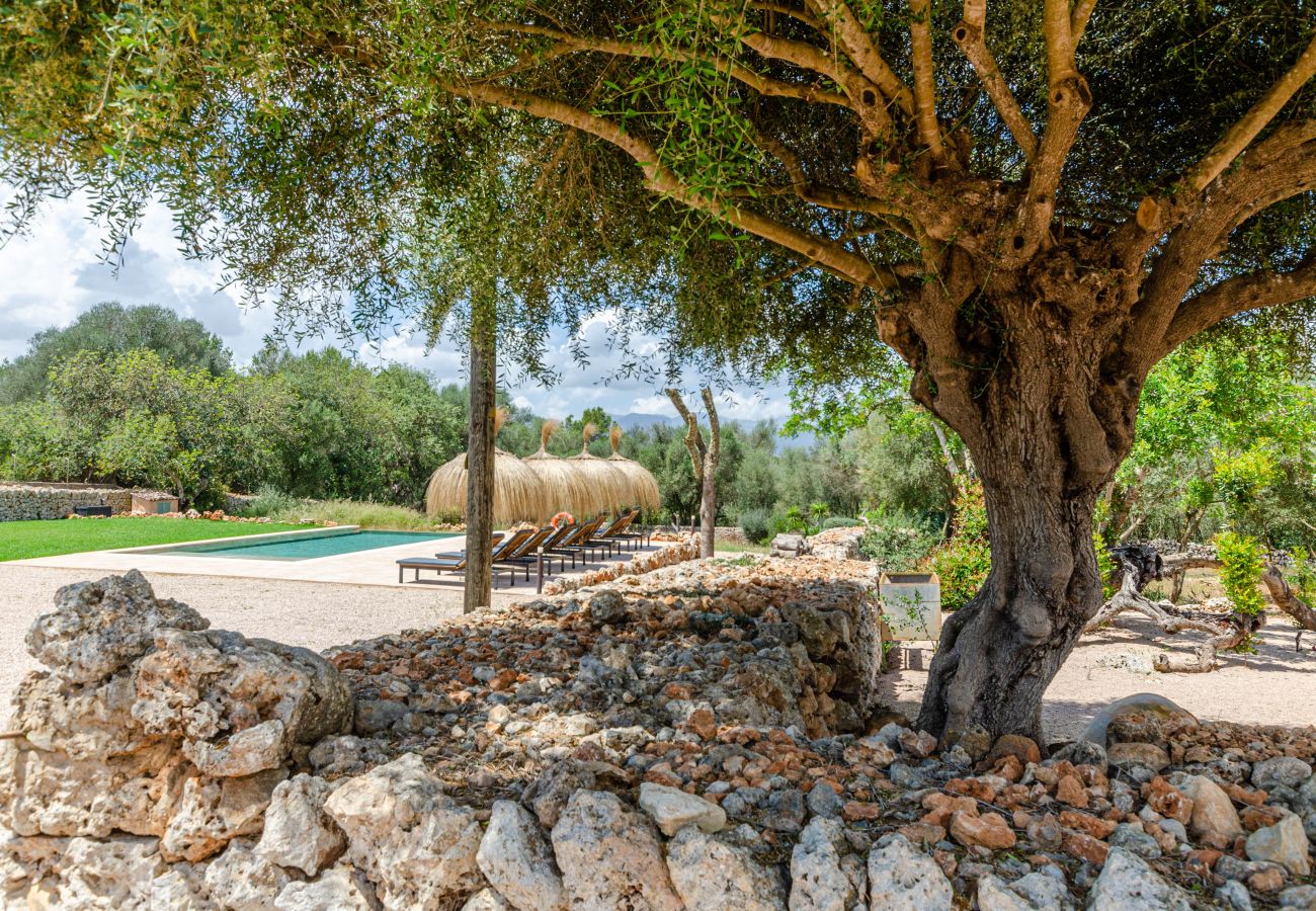 Farm stay in Costitx - Cal Tio 4 YourHouse, lovely apartment in a farmhouse with shared pool