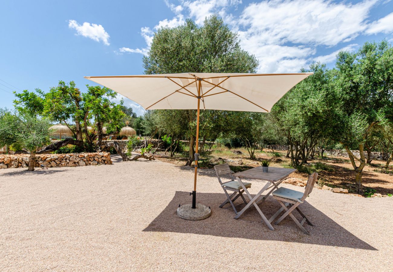 Farm stay in Costitx - Cal Tio 4 YourHouse, lovely apartment in a farmhouse with shared pool