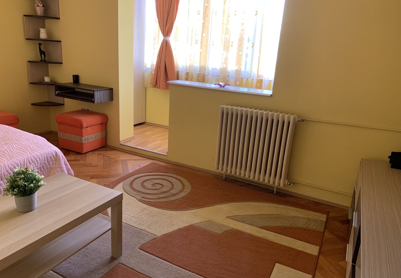 Studio in Timisoara - AA   Studio near Iulius Mall