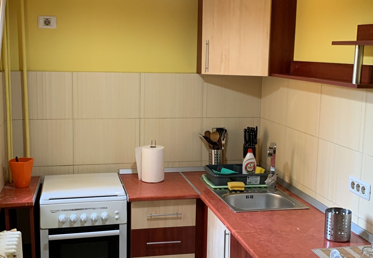 Studio in Timisoara - AA   Studio near Iulius Mall