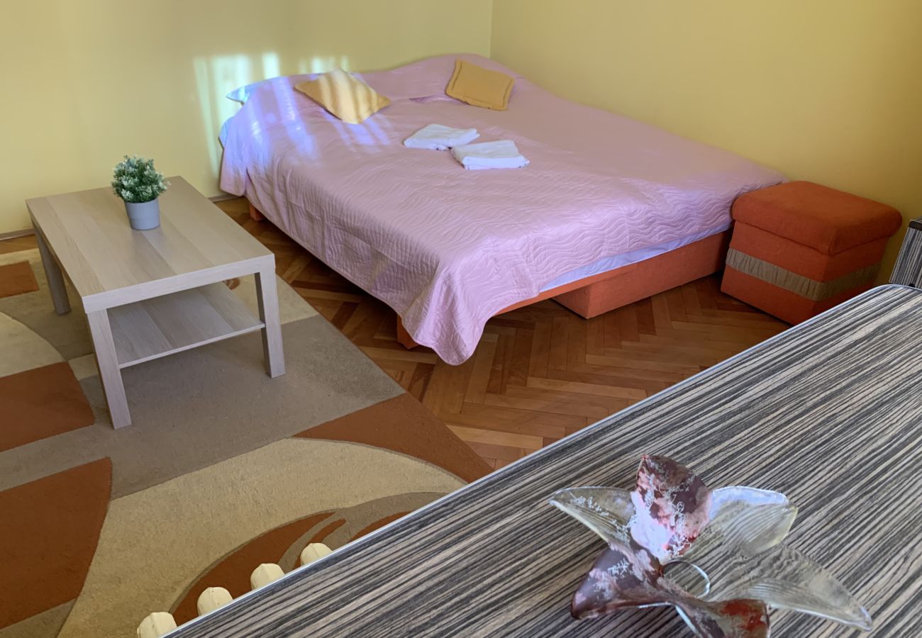 Studio in Timisoara - AA   Studio near Iulius Mall