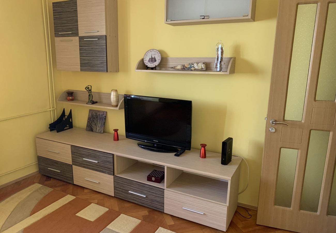 Studio in Timisoara - AA   Studio near Iulius Mall