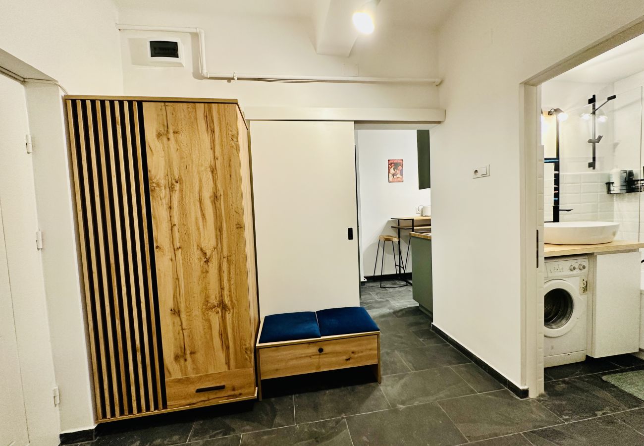 Studio in Cluj Napoca - Vesna