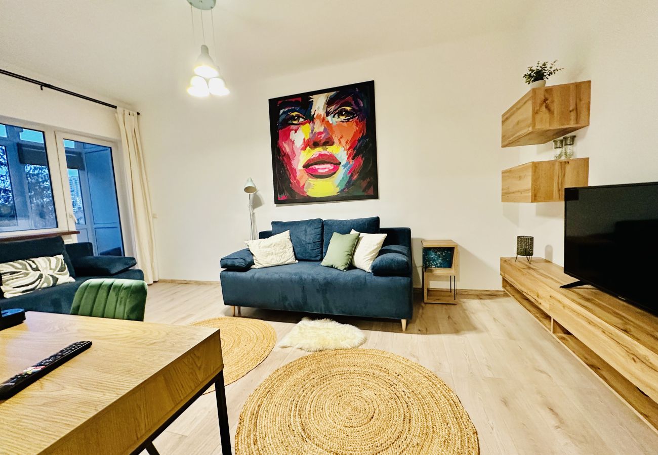 Studio in Cluj Napoca - Vesna
