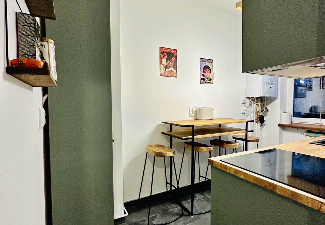 Studio in Cluj Napoca - Vesna