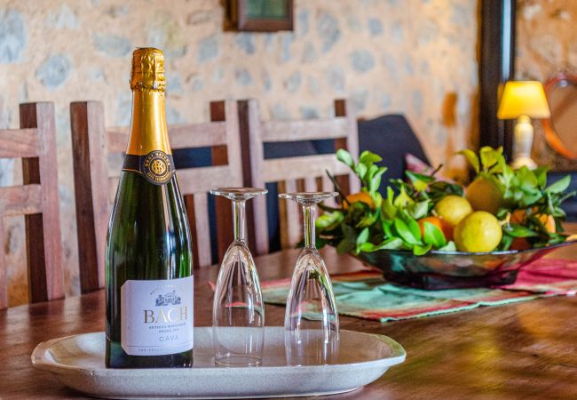 Villa in Inca - YourHouse Ermita quiet villa with private pool Villa in Inca - YourHouse Ermita quiet villa with private pool