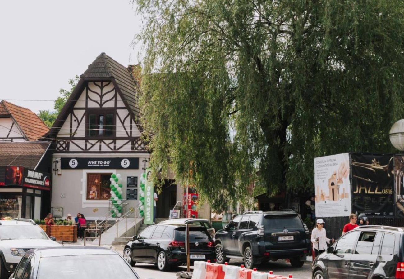 Apartment in Bran - 5 to Stay near Legends of Bran