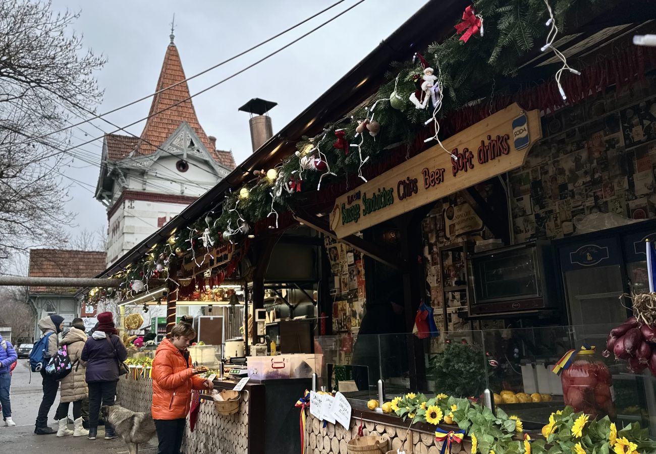 Apartment in Bran - 5 to Stay near Legends of Bran
