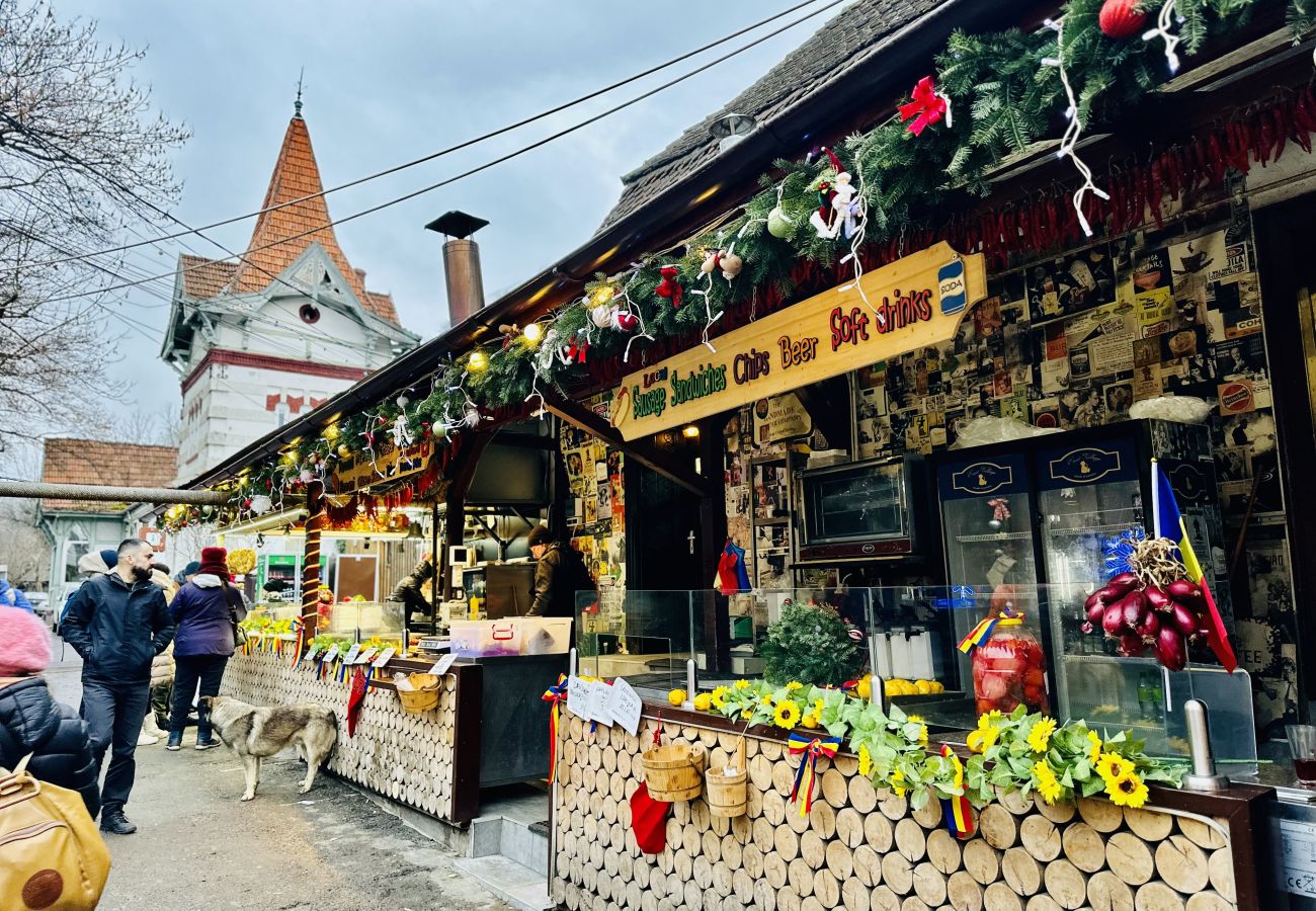 Apartment in Bran - 5 to Stay near Legends of Bran
