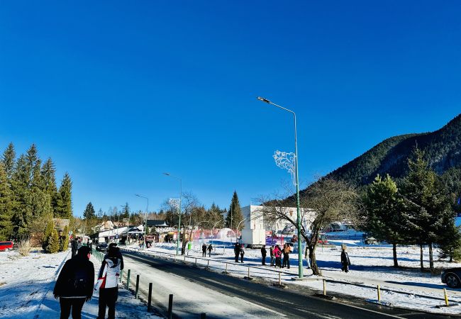 Apartment in Poiana Braşov - Ski Retreat