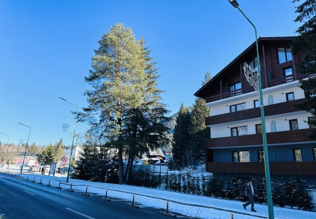 Apartment in Poiana Braşov - Ski Retreat