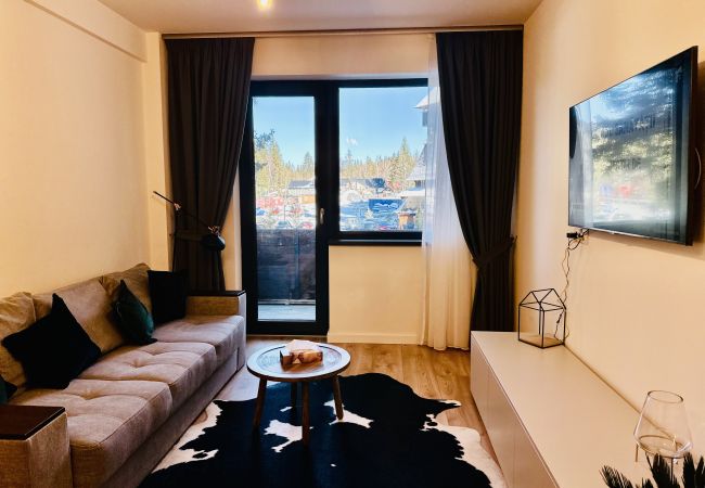 Apartment in Poiana Brasov - Ski Retreat Apartment in Poiana Brasov - Ski Retreat