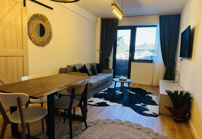 Apartment in Poiana Brasov - Ski Retreat Apartment in Poiana Brasov - Ski Retreat