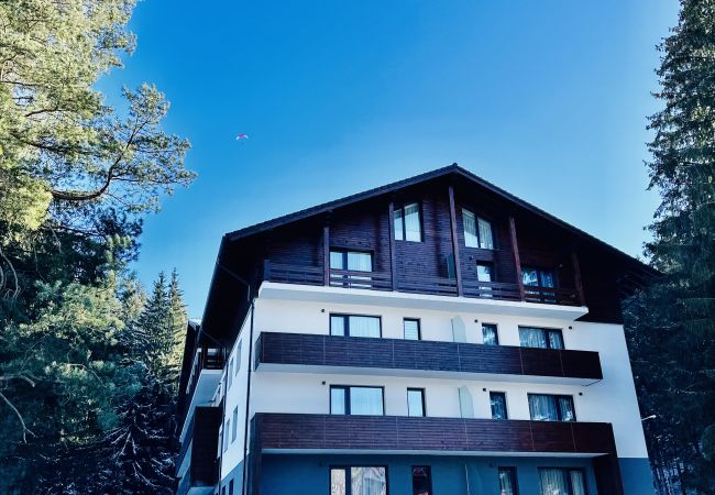 Apartment in Poiana Brasov - Ski Retreat Apartment in Poiana Brasov - Ski Retreat