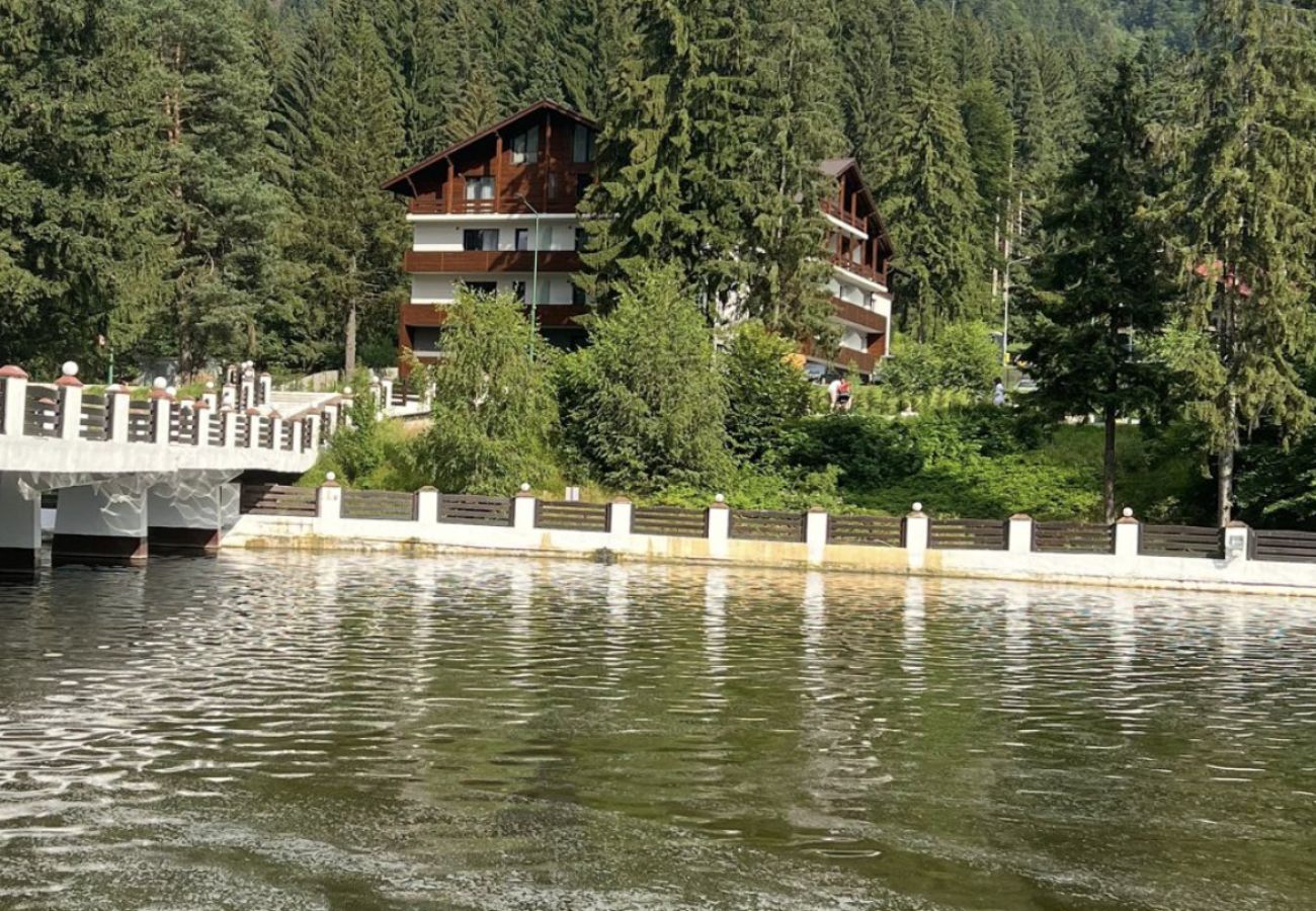 Apartment in Poiana Braşov - Ski Retreat