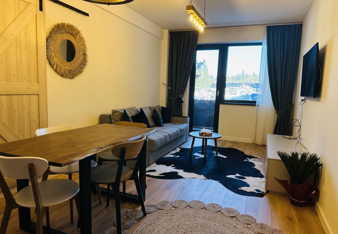 Apartment in Poiana Braşov - Ski Retreat