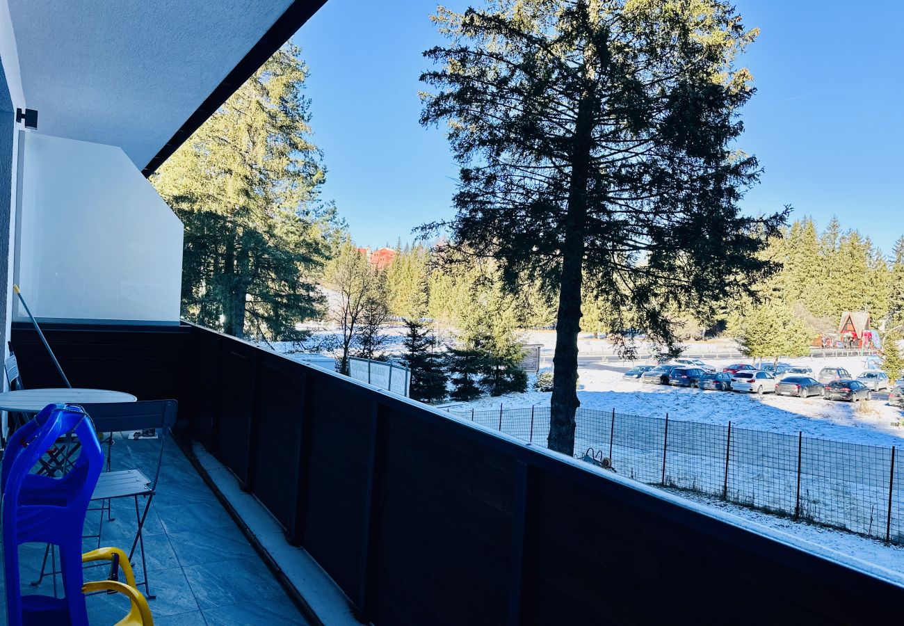 Apartment in Poiana Braşov - Ski Retreat